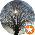 Cat Marshall (catsshoptalk) Avatar